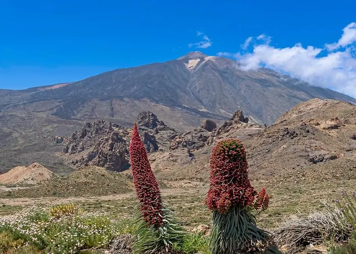 Acapulco Cerca De Cruz Y Del Mar Appartamento